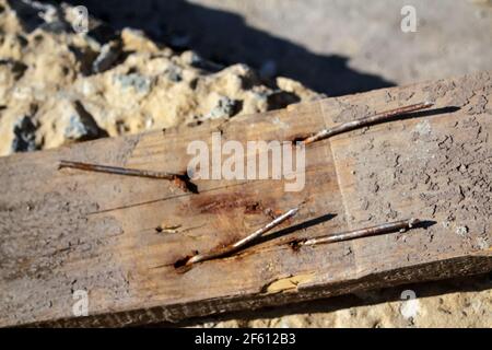 Unschärfe Textur von alten Holzplanken mit vielen Rissen, Kratzern, Löchern und rostigen Nägeln. Nahaufnahme. Nicht fokussiert. Stockfoto