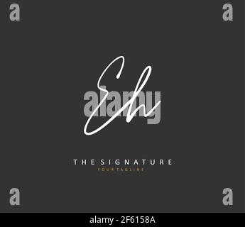 E H EH Anfangsbuchstabe Handschrift und Unterschriftenlogo. Ein Konzept handschriftlich Initiallogo mit Template-Element. Stock Vektor