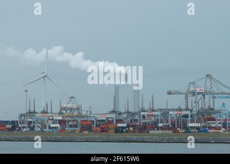 Maasvlakte, Hafen Rotterdam, Niederlande - Oktober 22 2020: Schwerlastkräne bewegen Frachtcontainer von der Schifffahrt auf LKWs Stockfoto