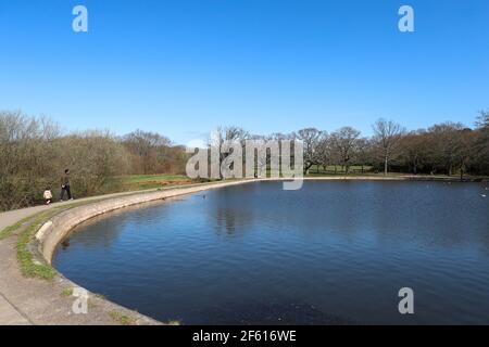 Southampton Common Pond, Southampton, Hampshire, Großbritannien Stockfoto