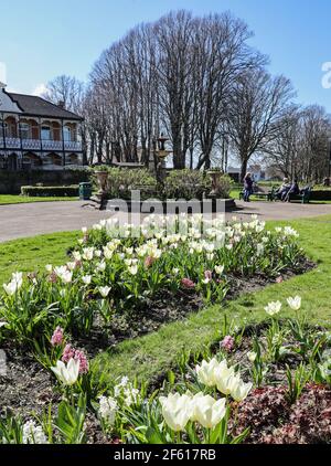 Bunte Blumenbeete umgeben einen Brunnen im Rosengarten am Devonport Park in Plymouth wird oft als der Peoples Park. In der Ferne A Stockfoto