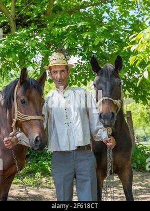 Salaj, Siebenbürgen, Rumänien-14. Mai 2018: Ein alter rumänischer Bauer und seine zwei schönen Pferde auf dem Land im Sommer Tag Stockfoto