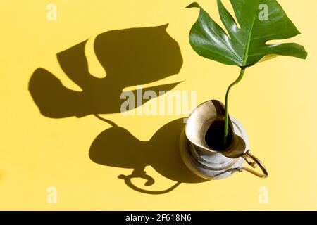 Monstera Blatt in Messingkrug mit Sonnenlicht und hartem Schatten auf gelbem Papier Hintergrund. Sommerkonzept mit Palmenblatt. Speicherplatz kopieren. Flach liegend. Stockfoto