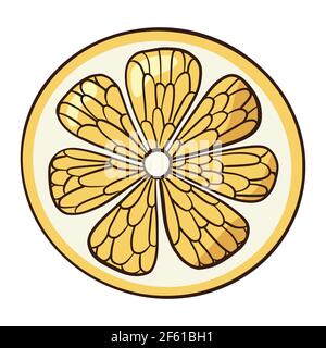 Linienzeichnung Symbol für organische Zitronenscheibe. Gelbe halb Zitrusfrüchte flache Abbildung Stock Vektor