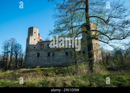 Burg Drzewica, Kreis Opoczno, Woiwodschaft Łódź, in Mittelpolen Stockfoto