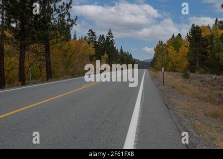 Mountain Road Highway 88 in Richtung Carson Pass, Kalifornien, USA, an einem Herbsttag mit gelben Espen und anderen Herbstfarben Stockfoto