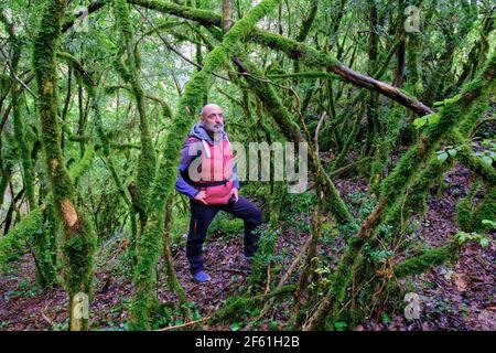 Wanderer Mann in einem Steineichenwald. Stockfoto