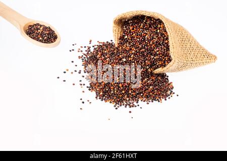 Chenopodium Quinoa - Bio-Samen von schwarzen Quinoa Stockfoto