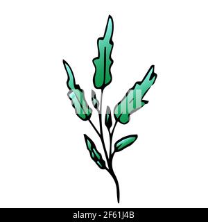 Schöne Blume, Frühling Zweig mit Blättern, florale Vektor-Objekt in Doodle-Stil, Blumen Handzeichnen, isolieren auf weißem Hintergrund. Stock Vektor