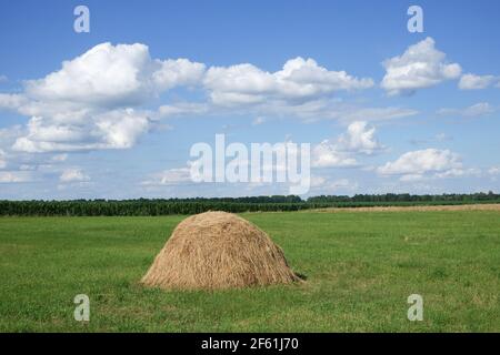Haystacks auf einer grünen Wiese unter blauem Himmel. Malerische pastorale Landschaft. Ackerland an einem klaren Sommertag. Weiße Kumuluswolken am blauen Himmel. Stockfoto