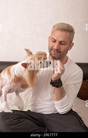 Junger schöner lächelnder Kaukasianer in einem weißen Hemd füttert sein süßes Haustier. Chinesische Haube, haarlose Welpen, Hobby und Lifestyle. Vorderansicht. Stockfoto