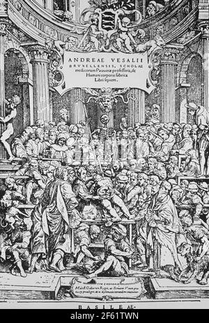 'De humani corporis fabrica', Vesalius Stockfoto