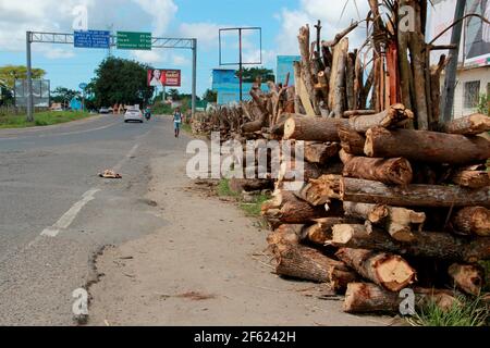 itabuna, bahia / brasilien - 19. juni 2012: Lagerfeuer von Sao Joao zum Verkauf auf der Autobahn BR 415 in der Stadt Itabuna. *** Ortsüberschrift *** Stockfoto