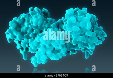 B-Raf Protein, Molekularmodell Stockfoto