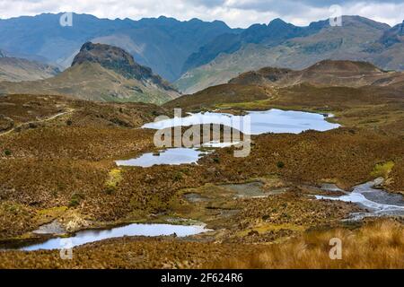 Nationalpark El Cajas (Parque Nacional El Cajas) in der Provinz Azuay im Hochland Ecuadors. Stockfoto