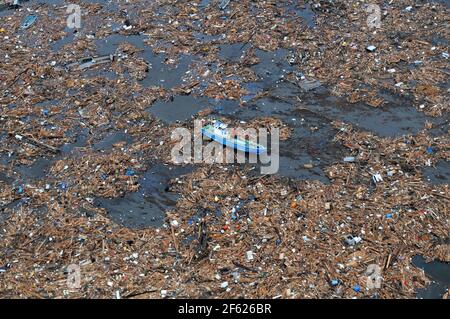 Tsunami-Folgen, Meeresschutt Stockfoto