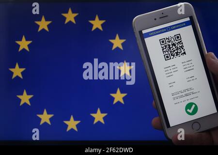 Das digitale grüne Zertifikat der europäischen Union mit dem QR-Code auf dem Bildschirm eines Mobiltelefons von einer Hand in Flughafen für die Reise gehalten. Impfung Stockfoto
