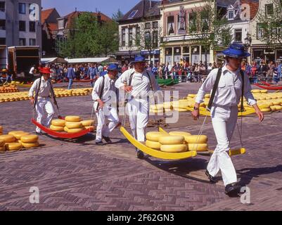 Käse - torhüter Laufräder von Gouda Käse auf Schlitten in Alkmaar Käsemarkt Alkmaar, Noord-Holland, Königreich der Niederlande Stockfoto