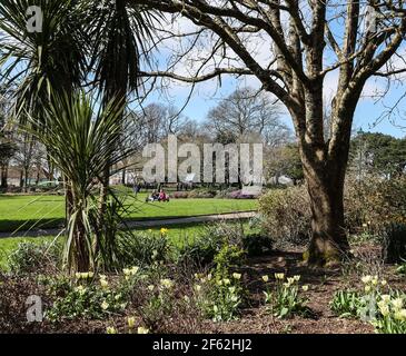 Bunte Blumenbeete im Devonport Park in Plymouth begrüßen Besucher am ersten Tag nach der Aussperrung im März 2021. r Stockfoto