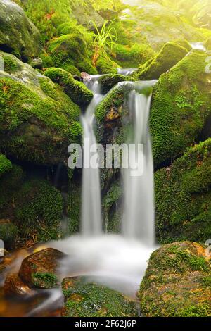 Wasserfall auf Bergbach im Nationalpark Sumava, Tschechische Republik. Stockfoto