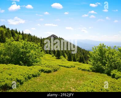 Gipfel des Großen Arber im Nationalpark Bayerischer Wald, Deutschland. Stockfoto