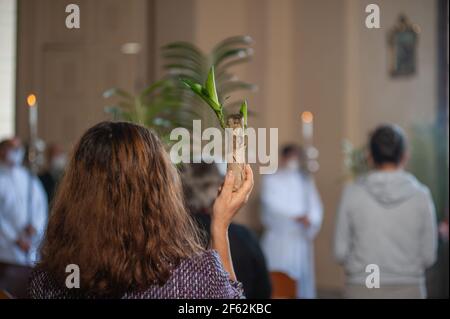 Der Chaldäer von Kolumbien, Msgr. Luis José Rueda, hält die heilige Woche, Palmsonntag "Domingo de Ramos" Messe im Inneren der primären Kathedrale von Colomb Stockfoto