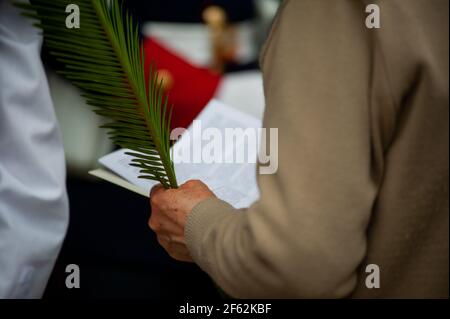 Der Chaldäer von Kolumbien, Msgr. Luis José Rueda, hält die heilige Woche, Palmsonntag "Domingo de Ramos" Messe im Inneren der primären Kathedrale von Colomb Stockfoto