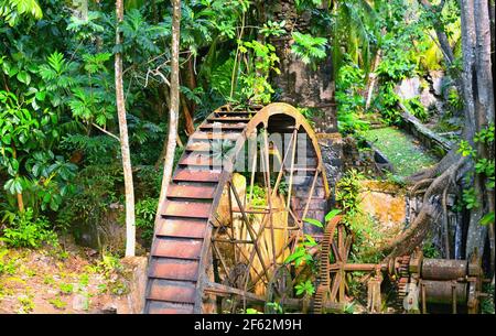 Rosted Water Wheel bei Tropical Plantation in der Karibik Stockfoto