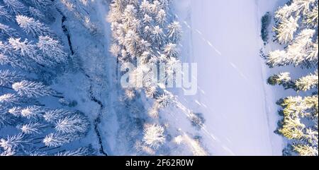 Luftansicht zeigt Wald von schneebedeckten Fichten. Eine Skipiste durchquert den Winterwald. Schönes Winterwetter mit Sonne und Schnee. Stockfoto