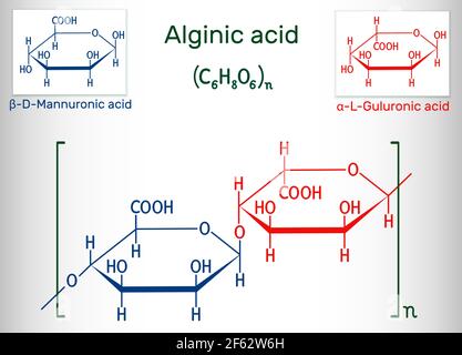 Alginsäure, Alginat-Molekül. Es ist Polysaccharid, Lebensmittelzusatzstoff E401. Strukturelle chemische Formel. Vektorgrafik Stock Vektor