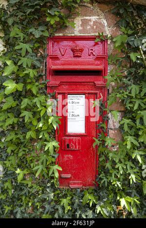 Ein efeugekleideter viktorianischer Briefkasten vor 1901 (VR Victoria Regina) im Exmoor-Dorf Bury, Somerset UK Stockfoto