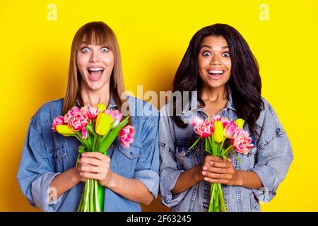 Portrait von staunenden hübschen Damen offenen Mund Hände halten frisch Blumen isoliert auf gelbem Hintergrund Stockfoto