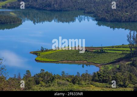 Schöne Aussicht auf Emerald Lake (Avalanchi) am Stadtrand von Ooty (Tamil Nadu, Indien) Stockfoto