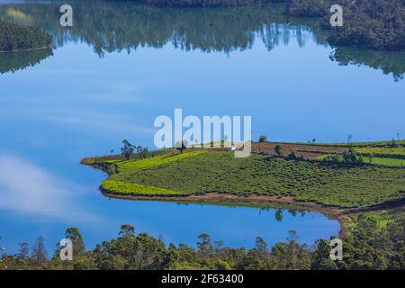 Schöne Aussicht auf Emerald Lake (Avalanchi) am Stadtrand von Ooty (Tamil Nadu, Indien) Stockfoto