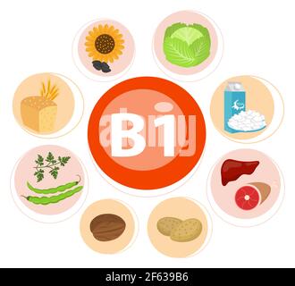 Infografik Set aus Vitamin B1 und nützlichen Produkten Spinat, Karotte, Nüsse, Aprikose, Blumenkohl, Zwiebel, Erbse, Rübe, Kartoffel. Gesunde Lebensweise und Ernährung Stock Vektor