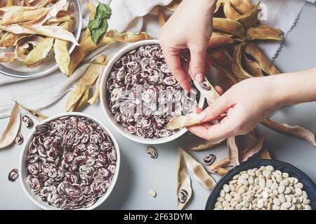 Weiße und rote gesprenkelte rohe lima-Bohnen in Schalen. Stockfoto