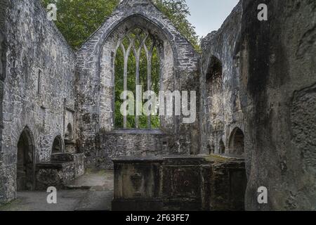 Fenster mit Bogen, Altäre und Gräber von ruinierten, 15th Jahrhundert Kloster, Muckross Abbey im Killarney National Park, Kerry, Irland Stockfoto