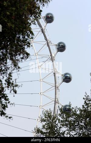 21. April 2011. London, England. Das London Eye aus der Sicht der Bäume von Whitehall. Foto Copyright ©; Charlie Varley/varleypix.com Stockfoto