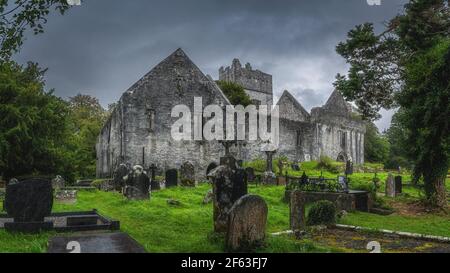 Friedhof und Gräber mit keltischen Kreuzen vor den alten Ruinen der Muckross Abbey mit dramatischem Sturmhimmel, Killarney National Park, Kerry, Irland Stockfoto