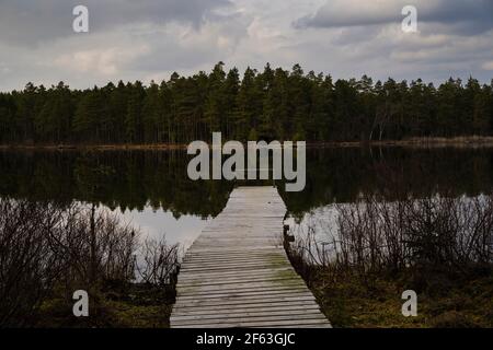See, Brücke und Wald am Frühlingsabend in Katrineholm Schweden. Schöne skandinavische Natur und Landschaft. Ruhiges, friedliches Foto. Stockfoto