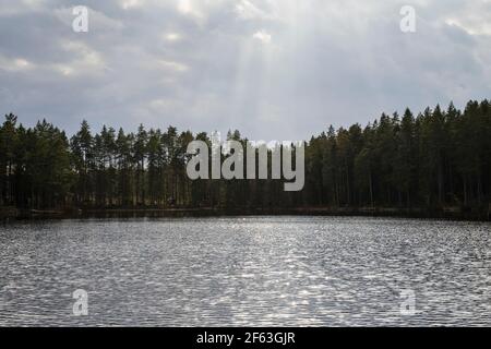 See und Wald am Frühlingsabend in Katrineholm Schweden. Schöne skandinavische Natur und Landschaft. Ruhiges, friedliches Foto. Stockfoto
