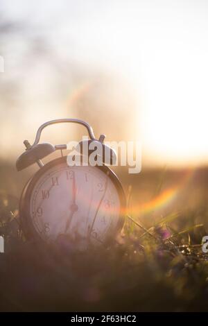 Authentisches Foto von einem Wecker im Gras mit sonnenaufgang Stockfoto