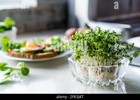 Microgreens Sprossen in Glasschale auf weißem Küchentisch mit gesunder Mahlzeit auf dem Hintergrund. Gesunde Ernährung und Kochen. Heimpflanzen und Lebensmittelanbau Stockfoto