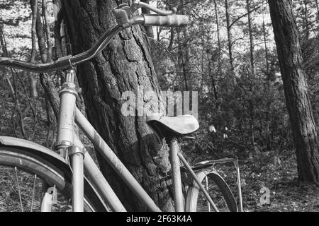 Verlassene Fahrrad City Bike mit fehlenden Hinterrad Stockfoto