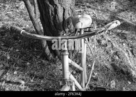 Verlassene Fahrrad City Bike mit fehlenden Hinterrad Stockfoto