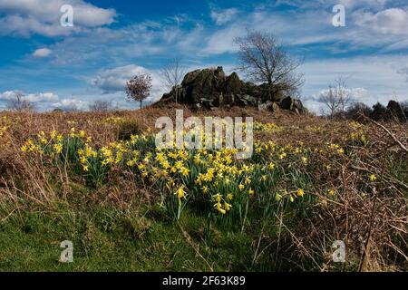 Charnwood Lodge ein verlorenes viktorianisches Haus und Gärten. Flat Hill, Charnwood Forest. Leicestershire. Stockfoto