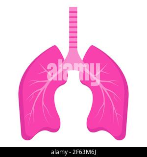 Lungensymbol . Das menschliche innere Organ ist dargestellt. Lungenentzündung betrifft die Lunge, das Coronavirus greift die Alveolen an, ein Symbol für Bronchitis. Stockfoto