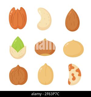 Nuts Mix Set Kollektion. Vektor flach Cartoon Illustration Symbol Design. Isoliert auf weißem Hintergrund. Erdnuss, Haselnuss, Walnuss, Paranuss, Pistazie, Cashew, Pecan, Mandelbündel Konzept Stock Vektor