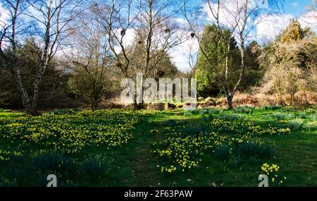 Charnwood Lodge ein verlorenes viktorianisches Haus und Gärten. Flat Hill, Charnwood Forest. Leicestershire. Stockfoto