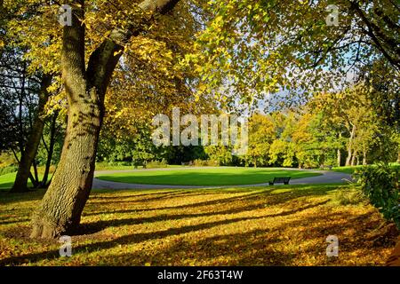 Großbritannien, South Yorkshire, Barnsley, Locke Park im Herbst Stockfoto